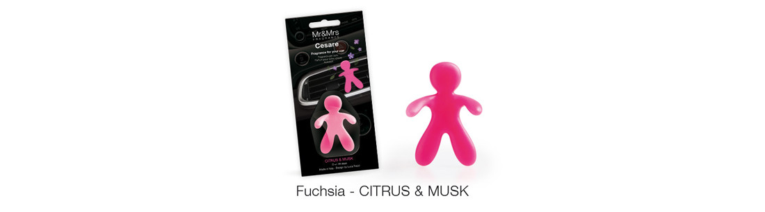 Mr & Mrs Fragrance: ароматизатор автомобильный Cistrus & Musk