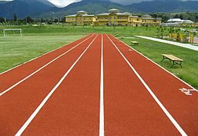 Беговые дорожки