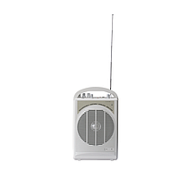ITC T-6020 Усилитель портативный  20Вт