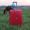 Красный чемодан большой " Aotian " для поездок, фото 3