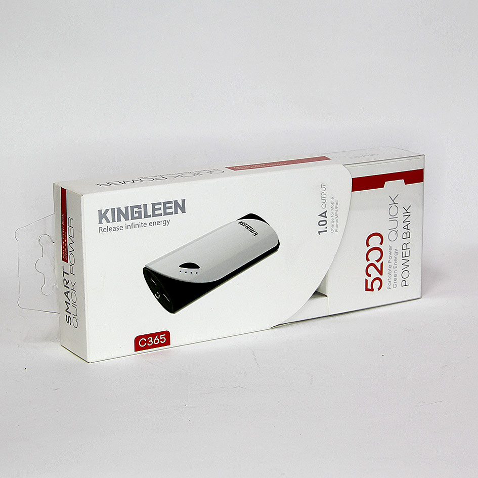 Power Bank KINGLEEN