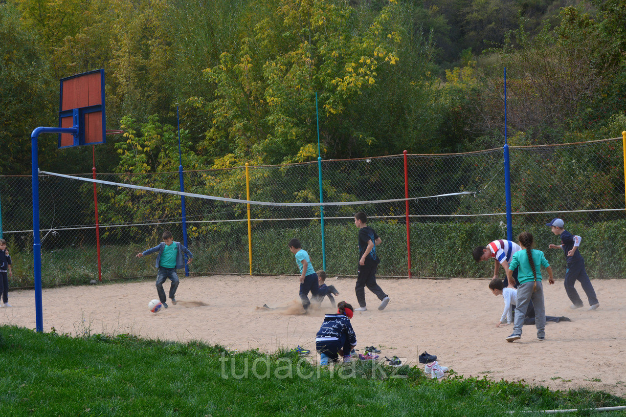 Волейбольное поле. Входит в стоимость номеров и беседок: бронирование ...