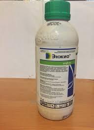 Үлкен форматта онлайн порно көру