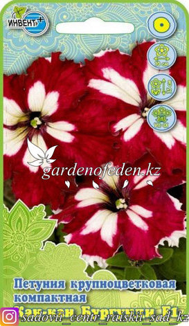 Семена петунии крупноцветковой компактной "Кан-кан Бургунди F1", фото 2