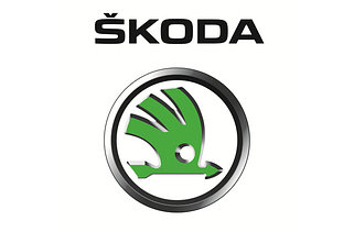 Переходные рамки для Skoda