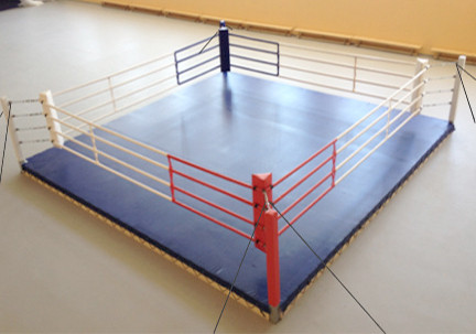 Ринг боксерский на растяжках 5 х 5 (4 х 4 м боевая зона)