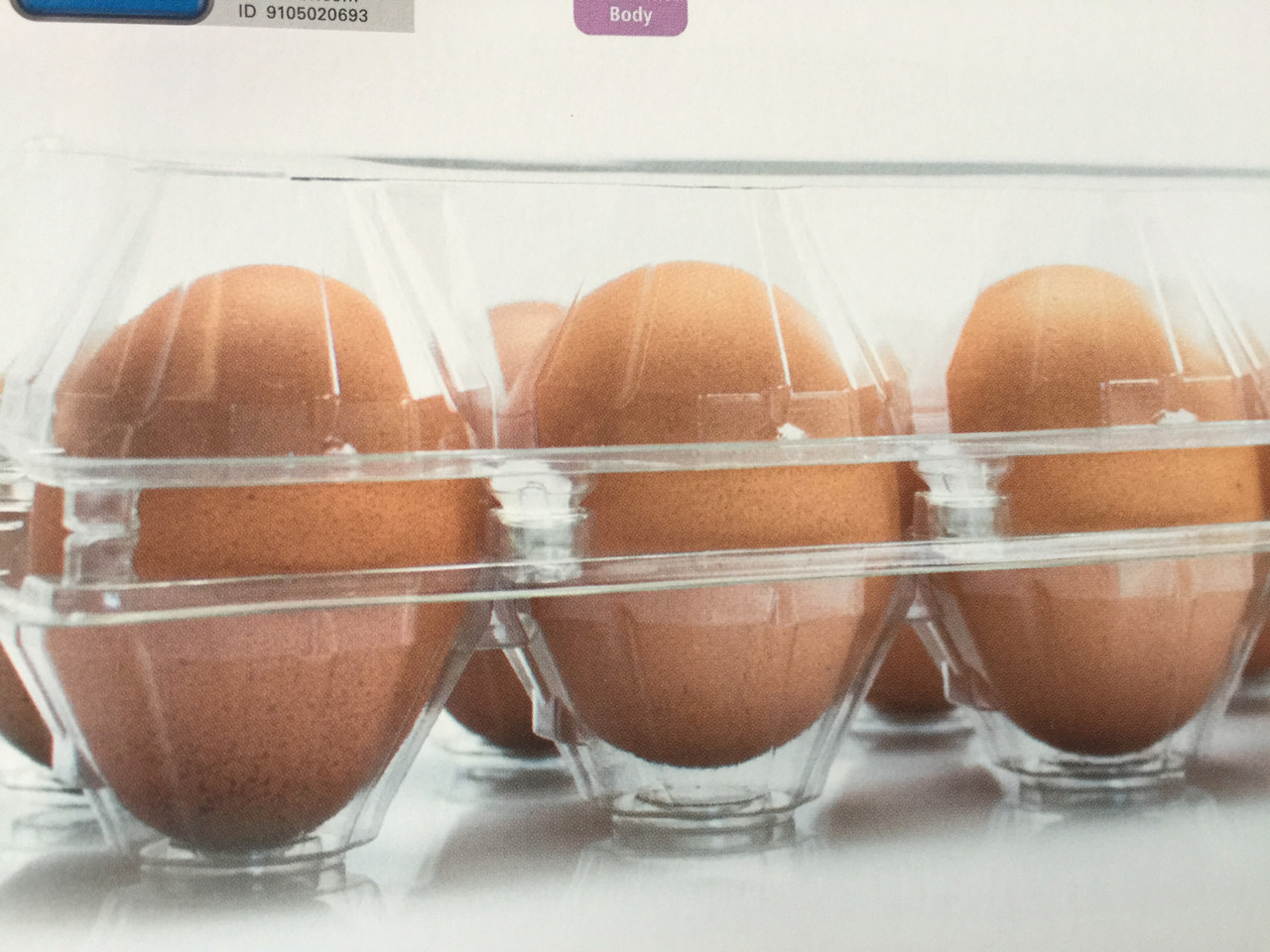 Контейнер пластиковый для куриных яиц на 10 ячеек   