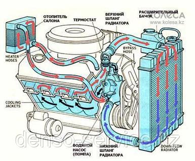 Барт пен Лиза Симпсонның порно комикстері