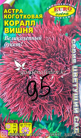 Семена астры коготковой - Euro Extra "Коралл Вишня", фото 2