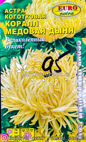 Семена астры коготковой - Euro Extra "Медовая Дыня", фото 2