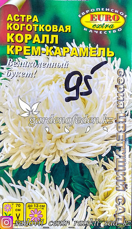 Семена астры коготковой - Euro Extra "Крем-Карамель", фото 2