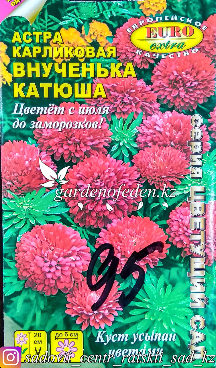 Семена астры карликовой - Euro Extra "Внученька Катюша" - фото 1 - id-p58127463