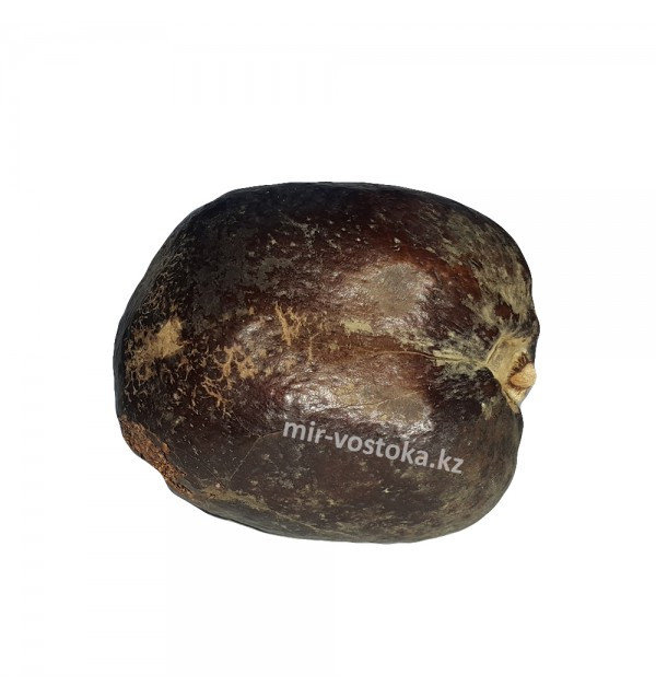 Сперматозоидтарды ішу пайдалы