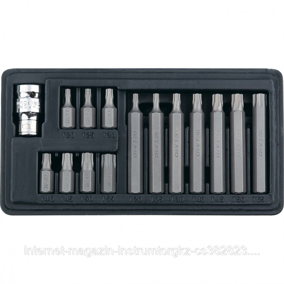 Набор бит TORX, хвостовик-шестигранник, 10 мм, CrV, 15 предм.// Stels