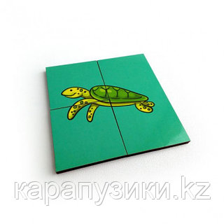 Жасырын камера Русское пипинг секс