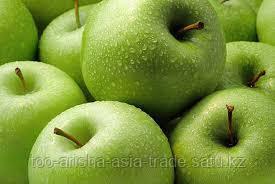 Саженцы яблони м9 Granny Smith