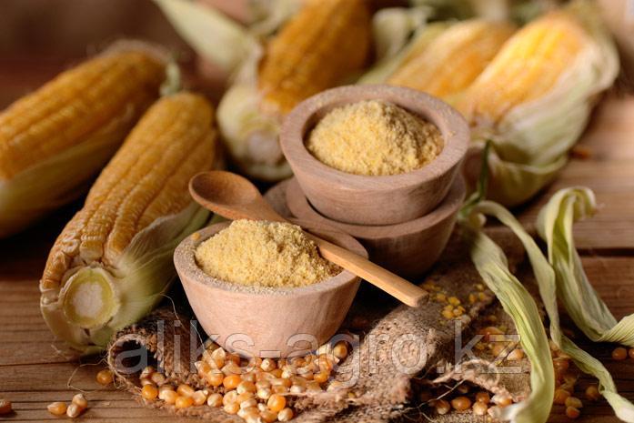 Сәлем порно фото порно фото