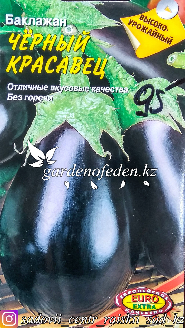 Семена баклажана - Euro Extra "Черный красавец"