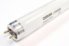 Лампа люм. L 36W/640 G13 ярко-белая (ЛБ 40) Osram