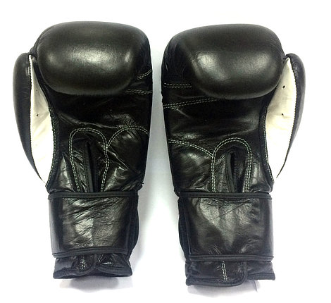 Боксерские перчатки Twins Special, фото 2
