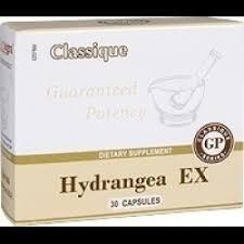 Hydrangea EX (30)