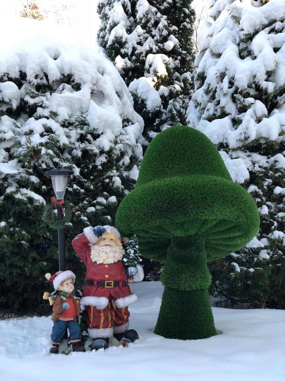 Гриб и Дед Мороз, фото 1