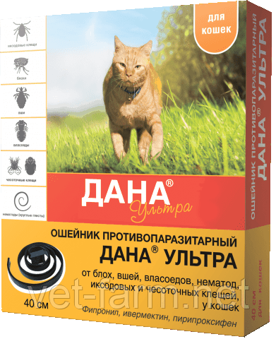 Дана Ультра ОШЕЙНИК для кошек