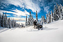 Снегоход  BRP Expedition Xtreme 800R E-tec, фото 4