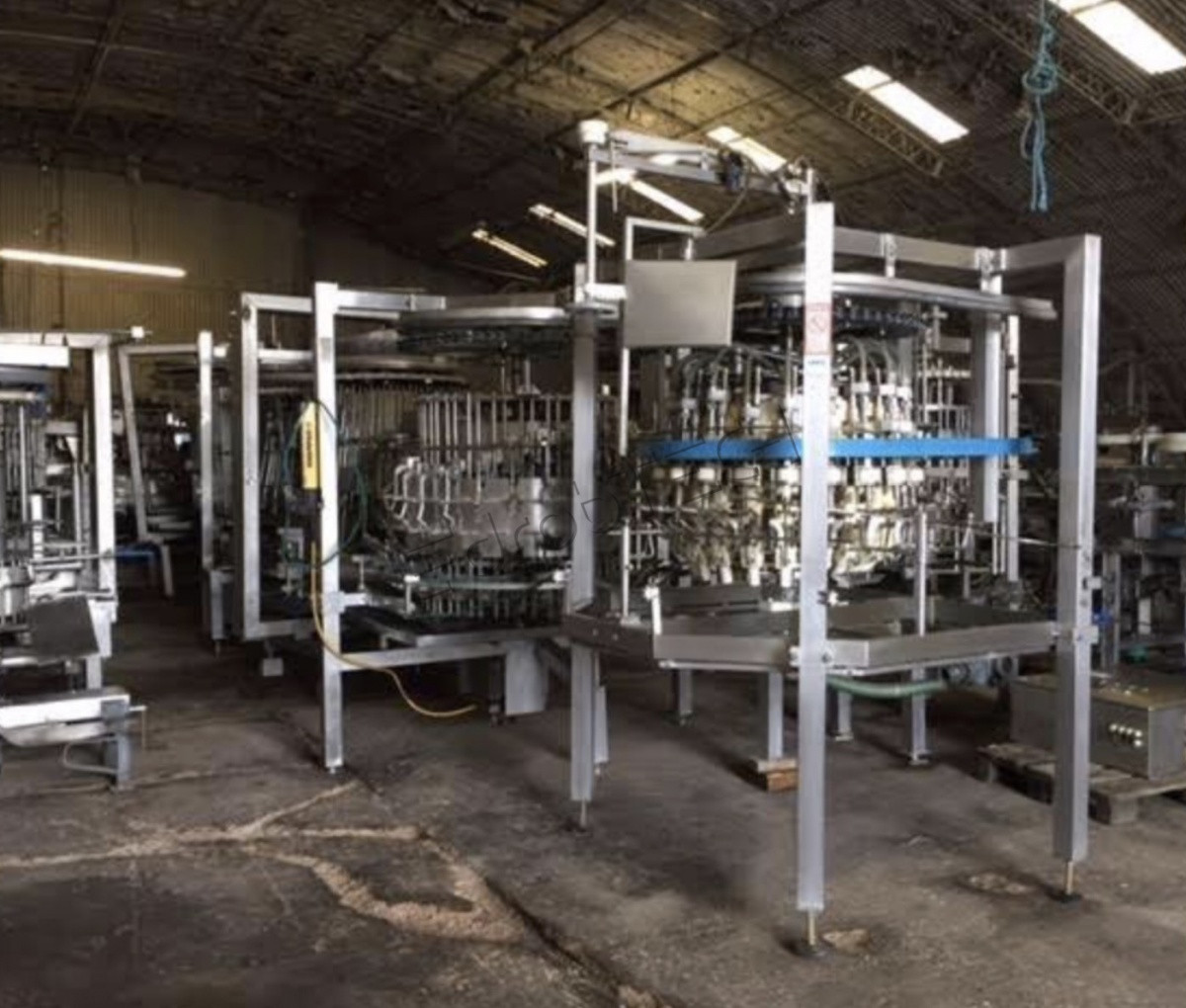 Линия потрошения LINCO 6000 BPH