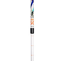 Палки для скандинавской ходьбы US MEDICA Carbon GT, фото 2