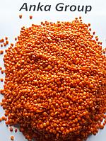 Чечевица красная