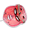 Светодиодная LED маска с шеей и  пультом (Фотобиомодуляция лица), фото 3