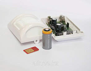 GSM-сигнализация - EXPRESS-GSM вар.2, фото 2