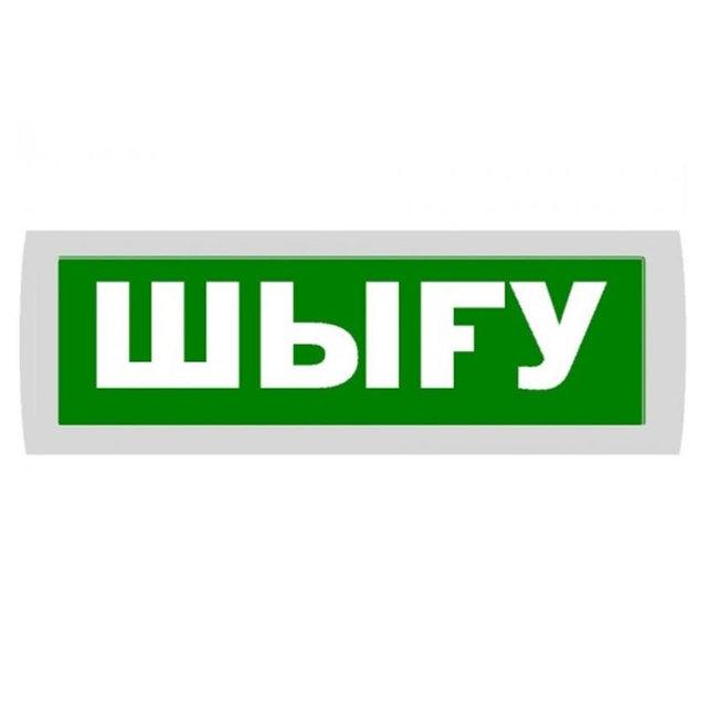 Табло световое " Выход" 220- РИП В с резервным питанием (с АКБ) - фото 2 - id-p58535634