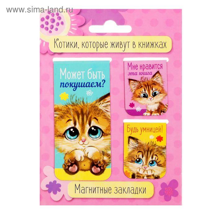 Набор магнитных закладок 3 штуки "Котики, которые живут в книжках"