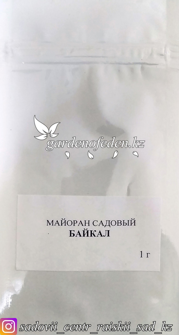 Профессиональные семена. Майоран садовый "Байкал". - фото 2 - id-p58545835