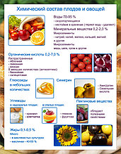 Плакаты Овощи