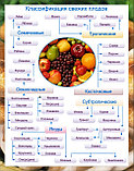 Плакаты Овощи, фото 3