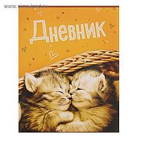 Дневник универсальный 1-11 класс "Котята", мягкая обложка
