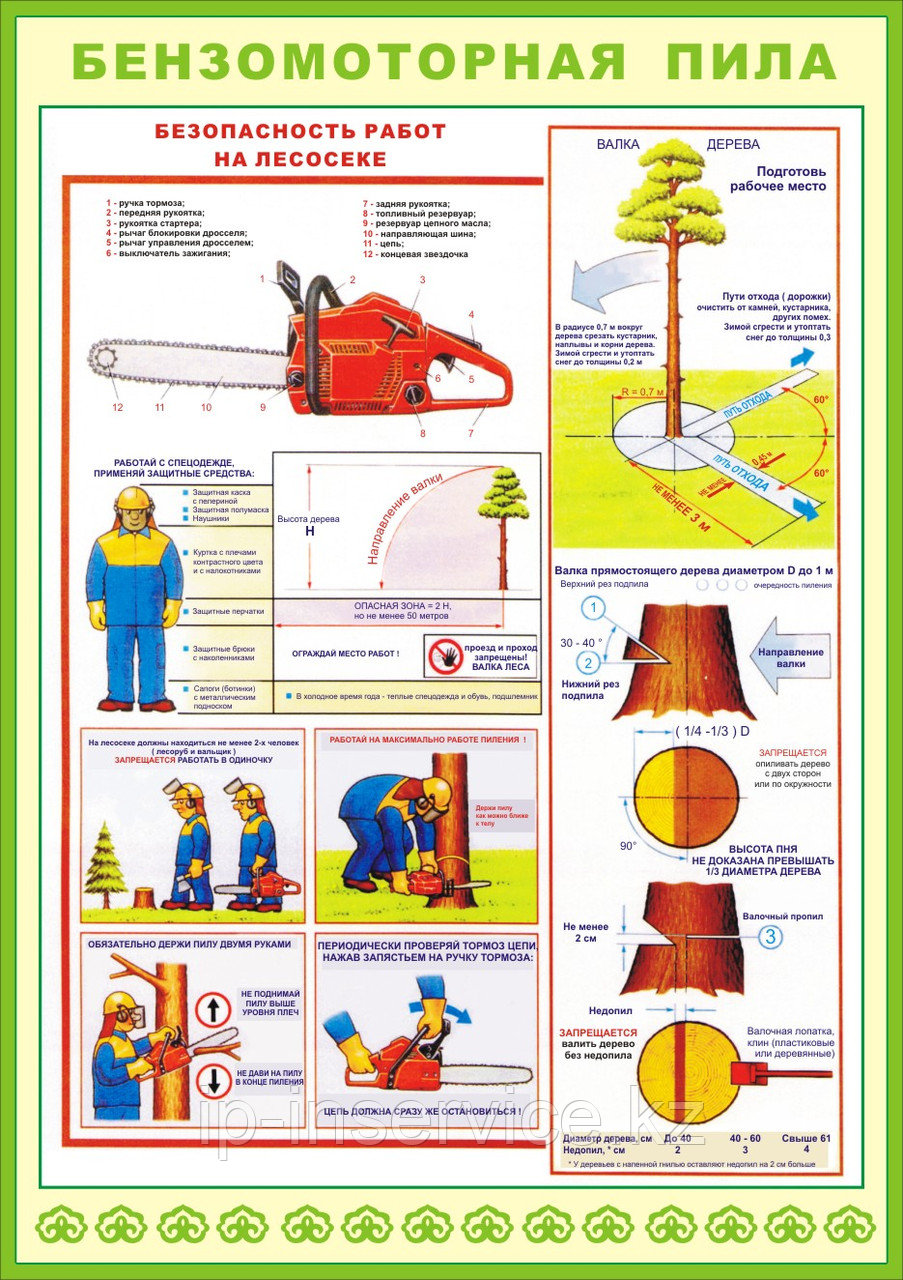 Безопасность работ на лесосеке - фото 3 - id-p4136209