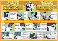 Первая медицинская помощь в чрезвычайных ситуациях на двух языках, фото 1