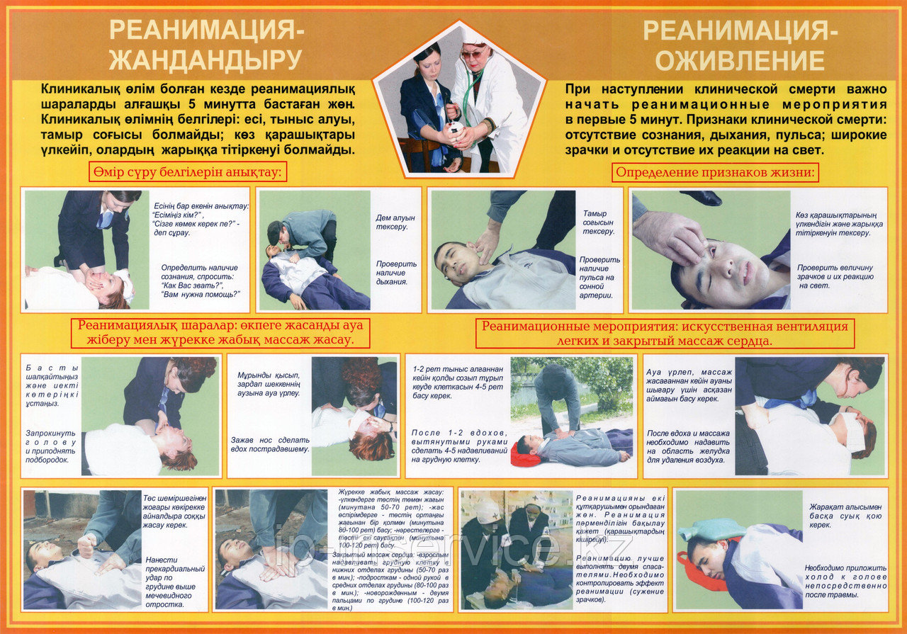 Первая медицинская помощь в чрезвычайных ситуациях на двух языках - фото 1 - id-p4137768