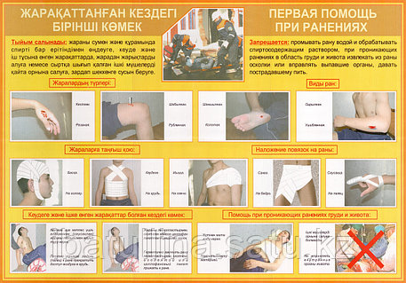 Теңіз жағасындағы жалаңаш қыздардың суреттері