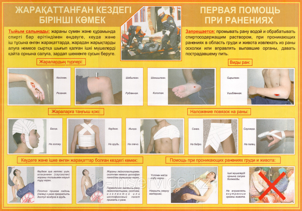 Первая медицинская помощь в чрезвычайных ситуациях на двух языках - фото 2 - id-p4137768