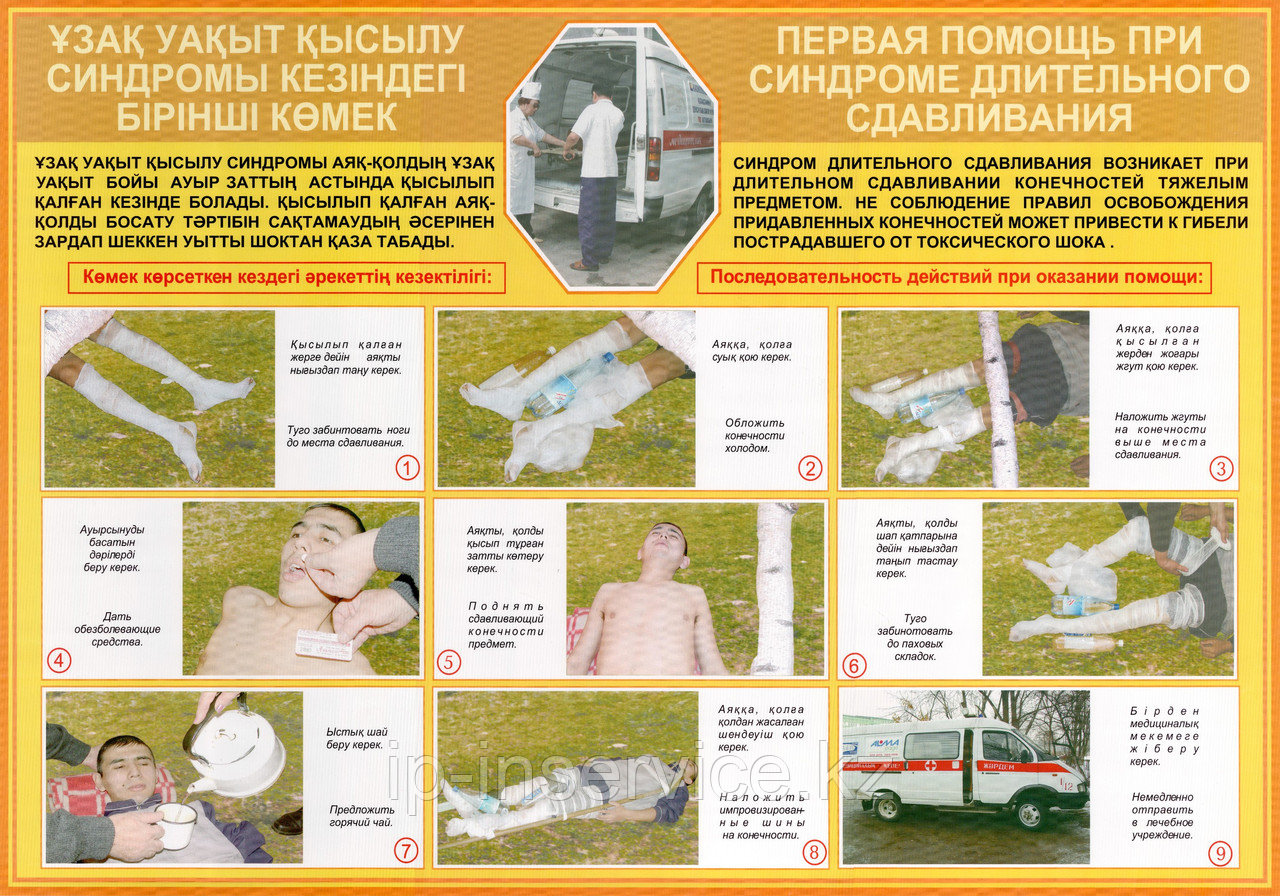 Первая медицинская помощь в чрезвычайных ситуациях на двух языках - фото 5 - id-p4137768