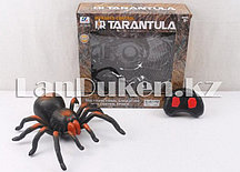 Огромный паук на радиоуправлении Тарантул "Tarantula" черно коричневый