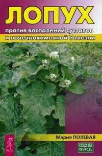 Лопух против воспалений суставов и почечнокаменной болезни