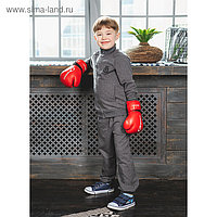 Костюм спортивный для мальчика (толстовка, брюки), рост 98-104 см, цвет серый