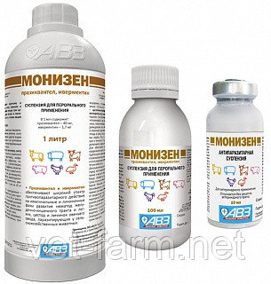 МОНИЗЕН