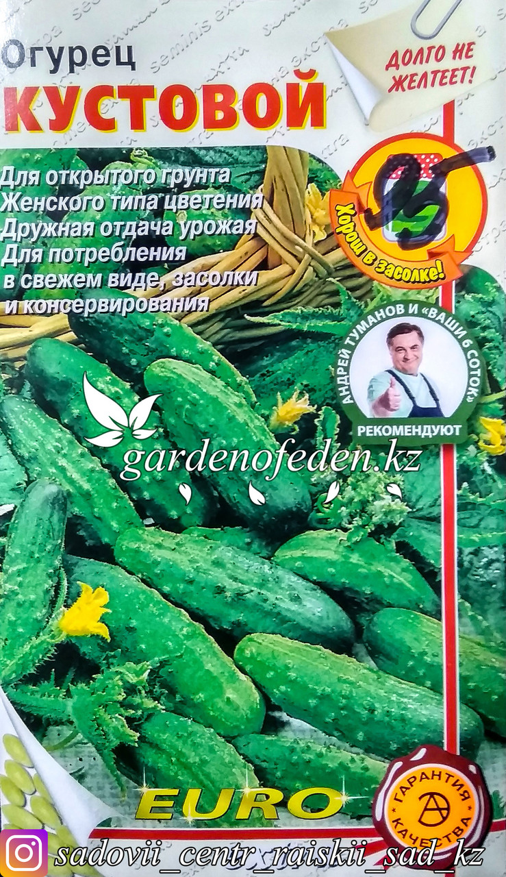 Семена пакетированные Euro Extra. Огурец "Кустовой" - фото 1 - id-p58688726